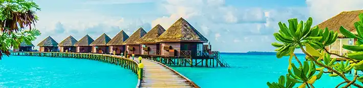 destination wedding in maldives